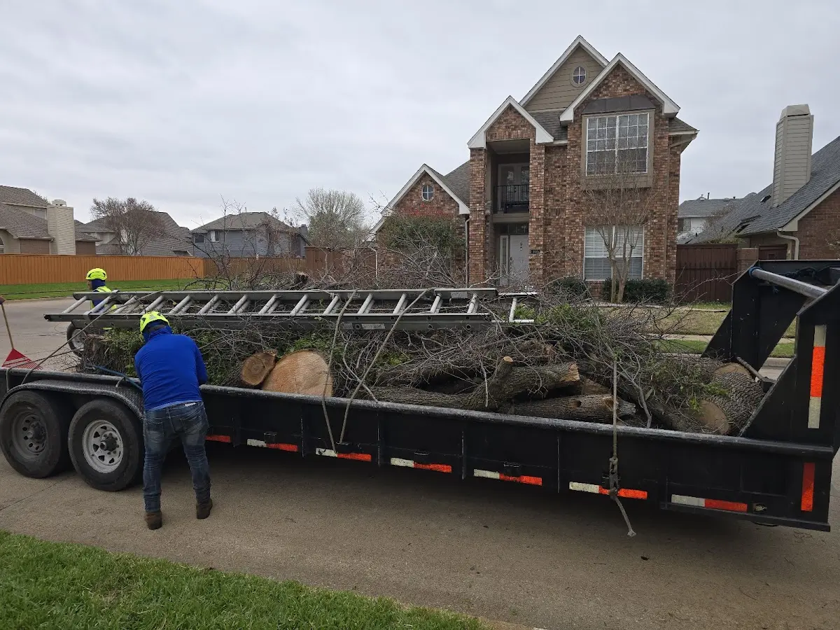 Expert Tree Fertilization with proper safety equipment in Meadow